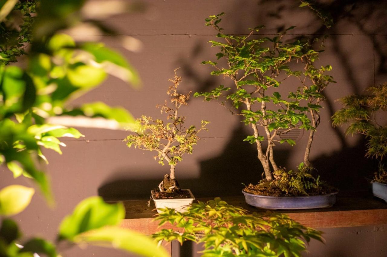 شقة Il Giardino Segreto Carbognano المظهر الخارجي الصورة