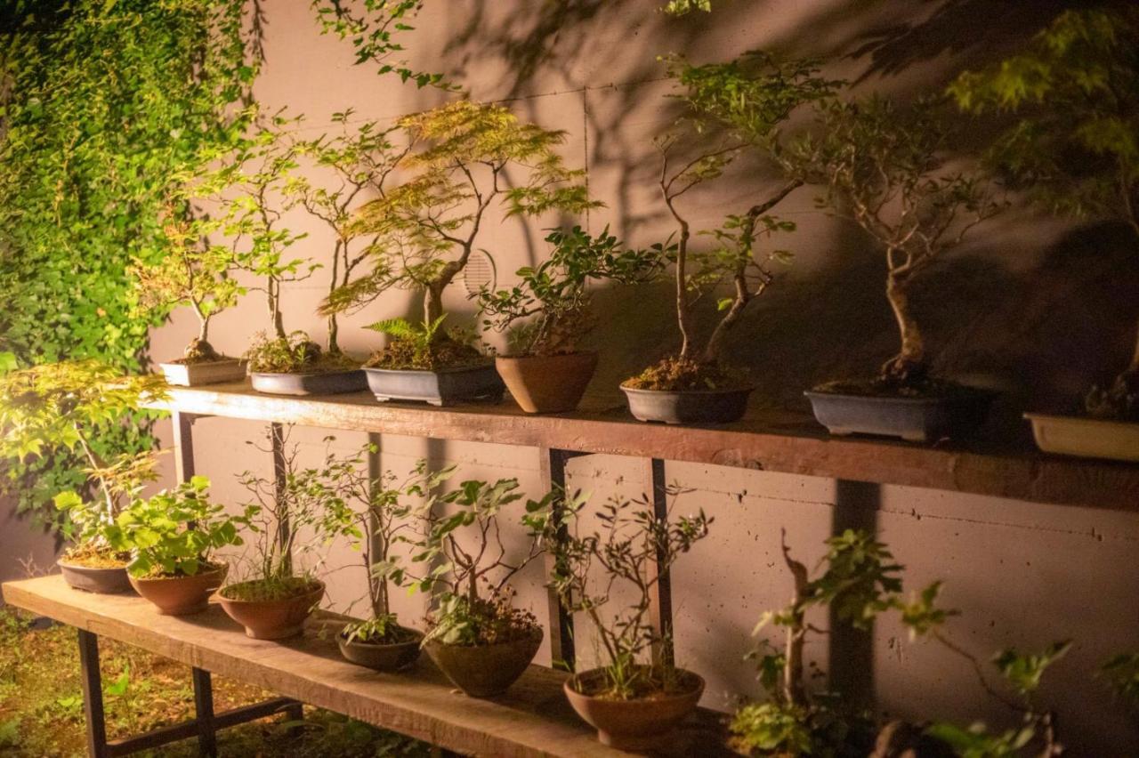 شقة Il Giardino Segreto Carbognano المظهر الخارجي الصورة