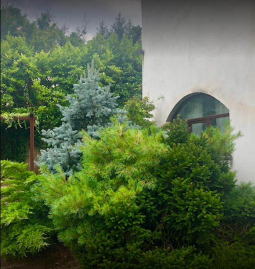 شقة Il Giardino Segreto Carbognano المظهر الخارجي الصورة